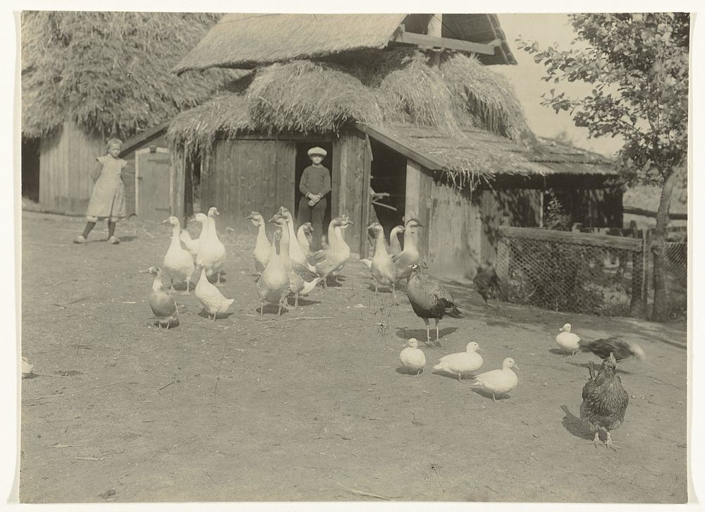 Erf van een boerderij met ganzen, eenden en kinderen (c. 1900 - c. 1930) by Richard Tepe
