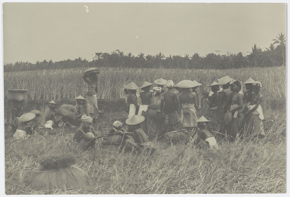 Rust tijdens het paddi oogsten (1890 - 1915) by anonymous
