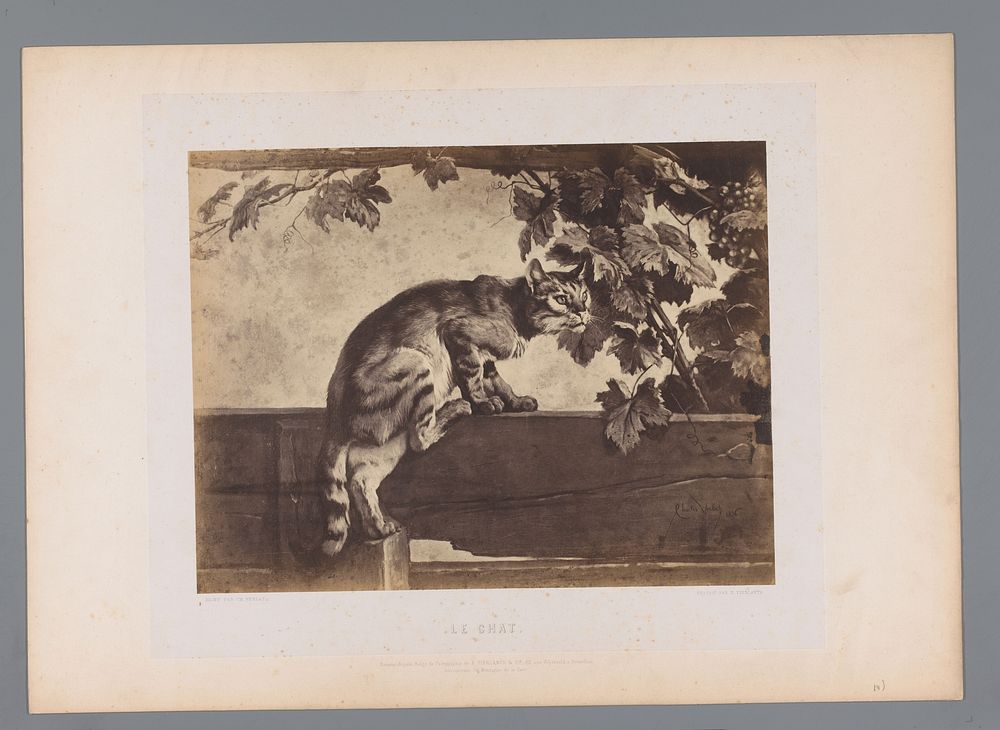 Fotoreproductie van een schilderij van een kat op een hek door Charles Verlat (c. 1858 - in or before 1863) by Edmond…
