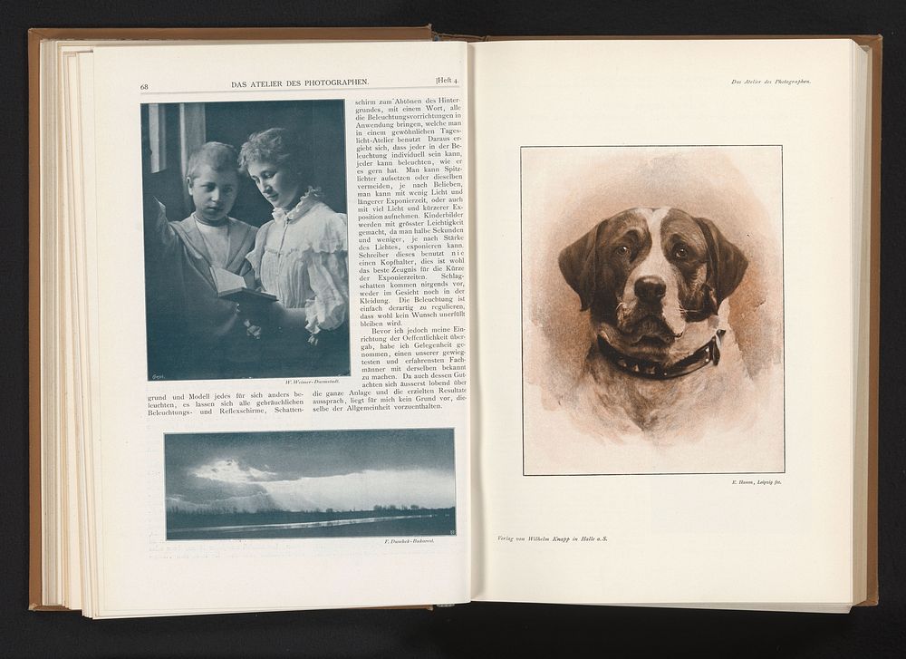Hond (c. 1895 - in or before 1900) by E Hamm, anonymous and Wilhelm Knapp