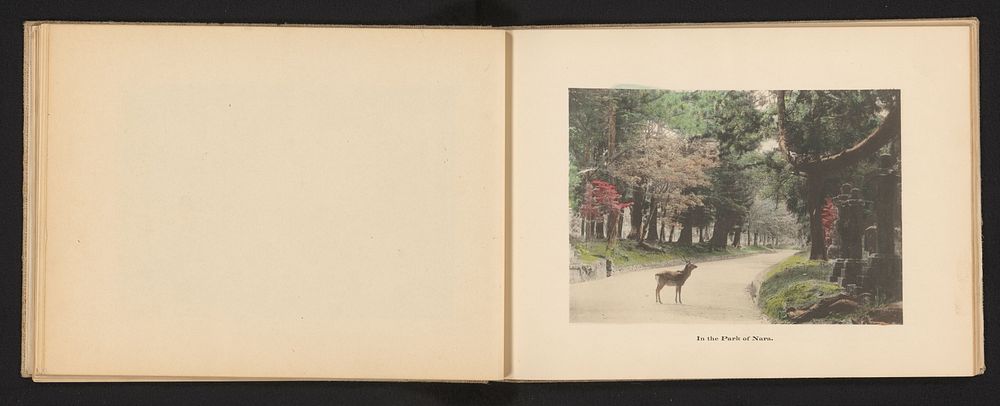 Narapark met een sikahert (c. 1895 - c. 1905) by Kōzaburō Tamamura