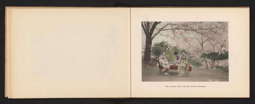 Drie vrouwen in traditionele Japanse kleding op ene bank onder kersenbloesem (c. 1895 - c. 1905) by Kōzaburō Tamamura