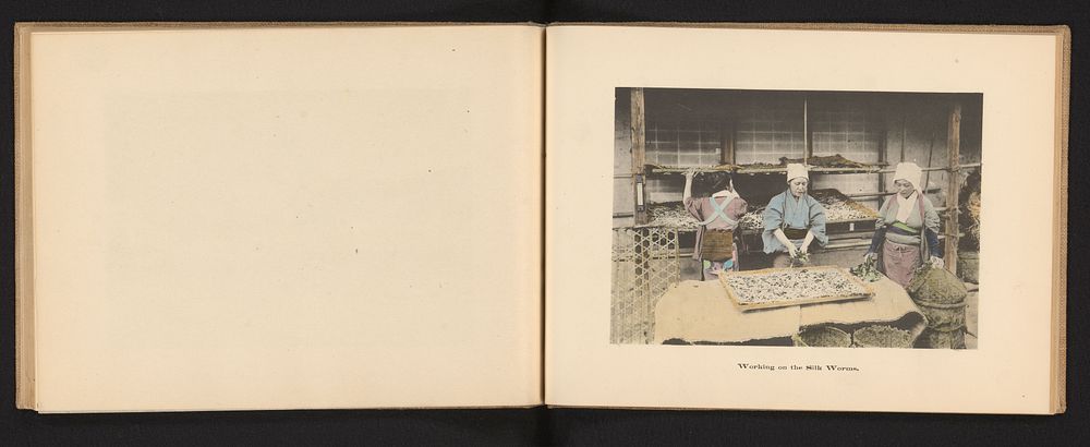 Drie vrouwen die zijderupsen bewerken in Japan (c. 1895 - c. 1905) by Kōzaburō Tamamura