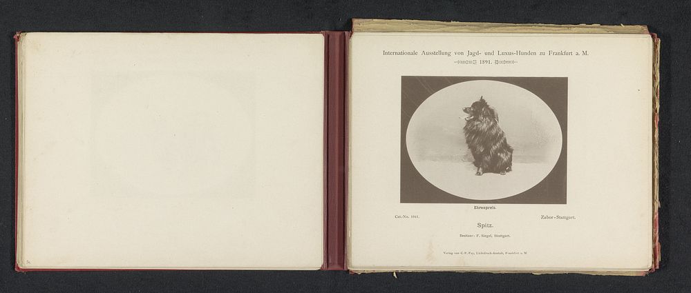 Keeshond Zabor die een ereprijs heeft gewonnen op de Internationale Ausstellung von Jagd und Luxus Hunden in 1891 (1891) by…