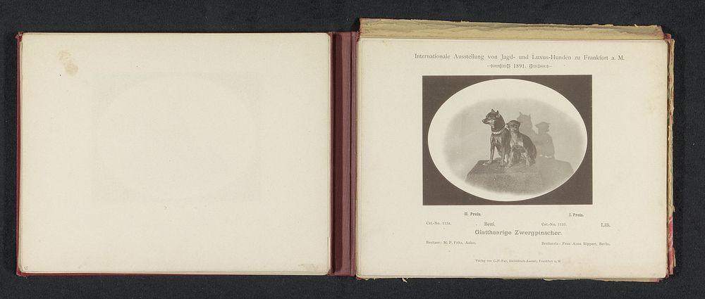 Dwergpinschers die prijzen hebben gewonnen op de Internationale Ausstellung von Jagd und Luxus Hunden in 1891 (1891) by…