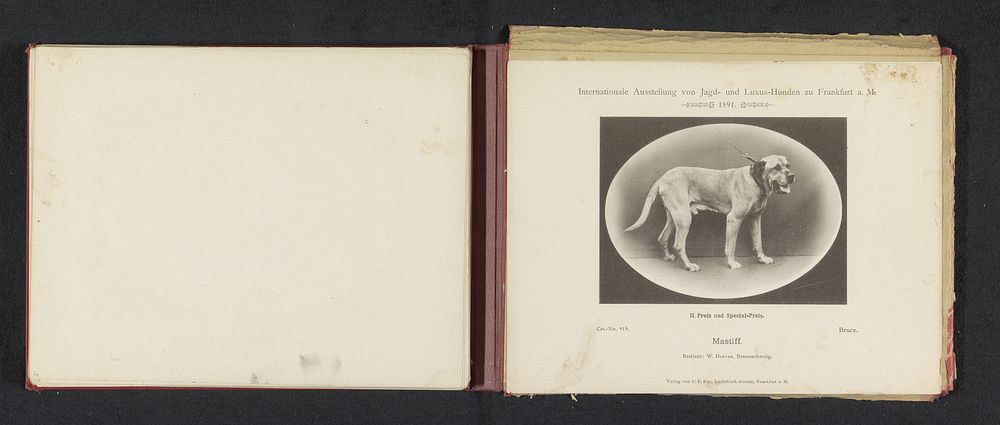 Mastiff Bruce die twee prijzen heeft gewonnen op de Internationale Ausstellung von Jagd und Luxus Hunden in 1891 (1891) by…