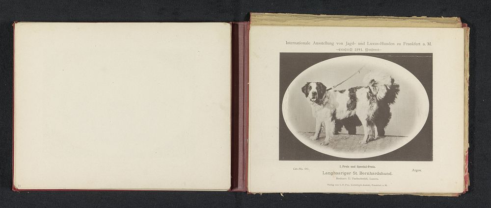 Sint-bernard Argos die twee prijzen heeft gewonnen op de Internationale Ausstellung von Jagd und Luxus Hunden in 1891 (1891)…