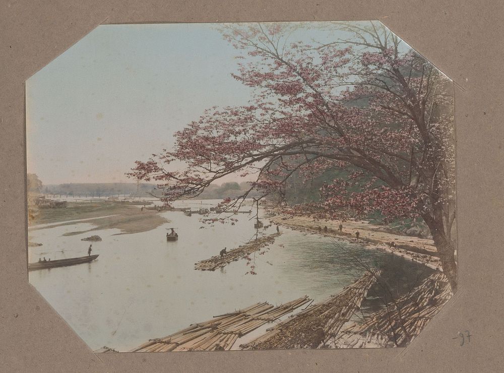 Kersenbloesem op de oever van een rivier met bamboevlotten in Japan (c. 1890 - in or before 1903) by anonymous