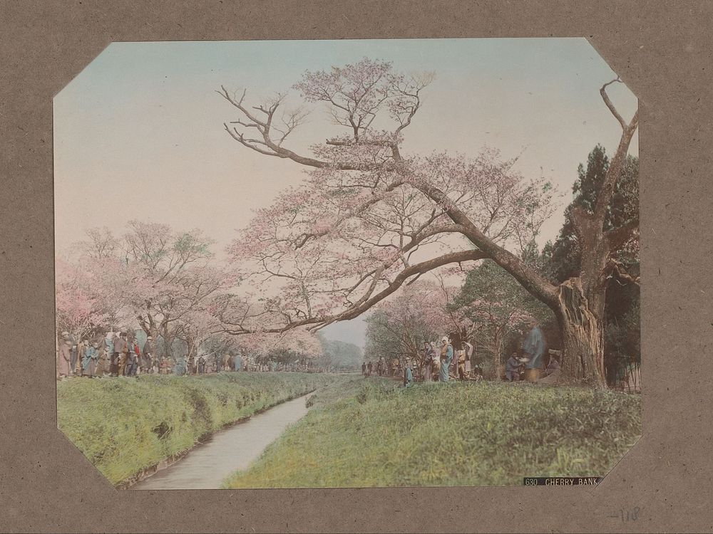 Mensen en kersenbloesem aan weerszijden van een beek in Koganei, Tokyo, Japan (c. 1890 - in or before 1903) by Kusakabe…