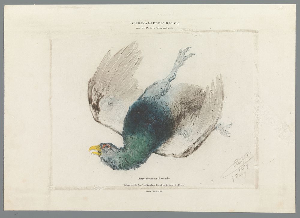 Geschoten auerhoen (1855) by anonymous, Alois Auer and Matthias Johann Ranftl