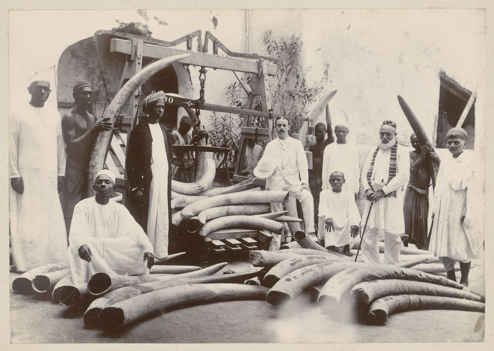 Ivoorhandelaars poserend met slagtanden van olifanten in Zanzibar (c. 1890 - c. 1910) by anonymous