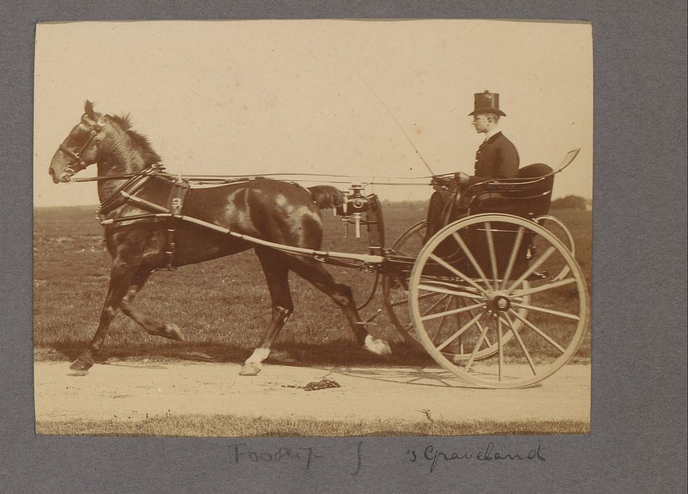 Man in een rijtuig op een landweg in 's-Graveland (c. 1902 - c. 1906) by anonymous
