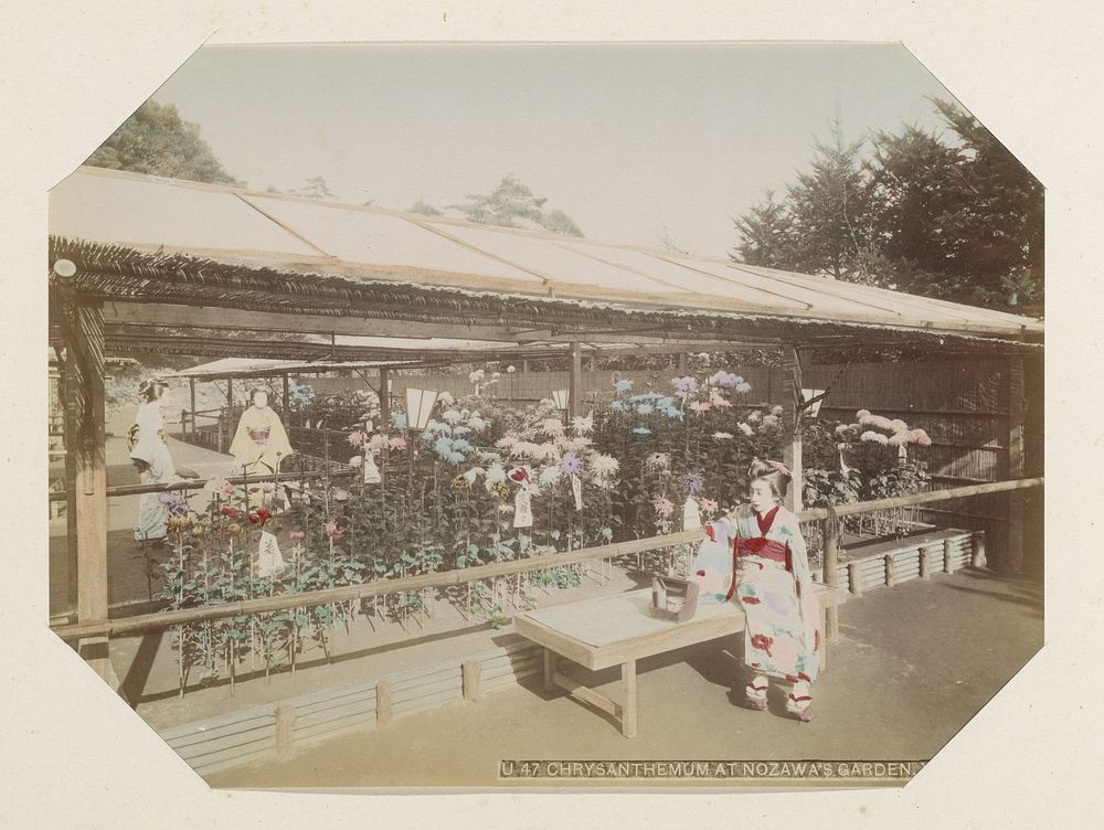Kraam met chrysanten en verkoopster in de Onzawatuin in Yokohama (c. 1870 - c. 1900) by anonymous