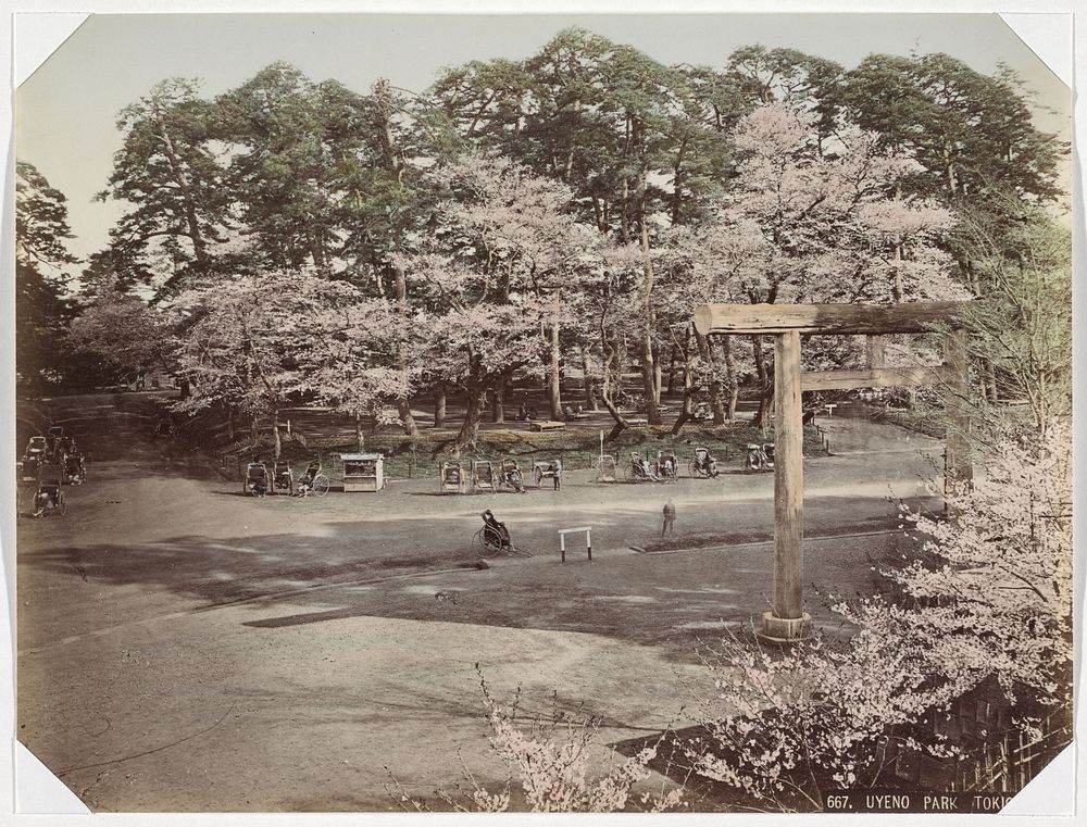 Bloesem in het Ueno-park in Tokyo (1890 - 1894) by anonymous