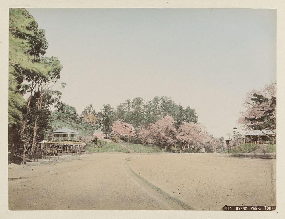 Gezicht op bloeiende bomen en gebouwen in het Ueno-park in Tokyo (c. 1870 - c. 1900) by anonymous