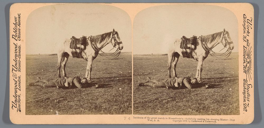 Voorstelling van een slapende soldaat naast zijn paard tijdens de grote reis naar Bloemfontein (1901) by anonymous and…