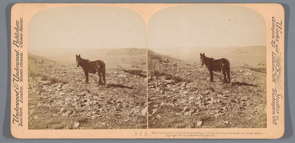 Gezicht op Transvaal ten zuiden van Johannesburg met een paard op de voorgrond (1901) by anonymous and Underwood and…