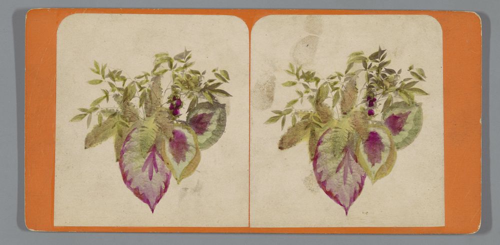 Stilleven met bladeren van planten (c. 1855 - c. 1870) by anonymous