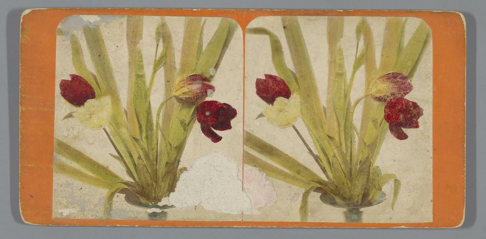 Stilleven met tulpen (c. 1855 - c. 1870) by anonymous