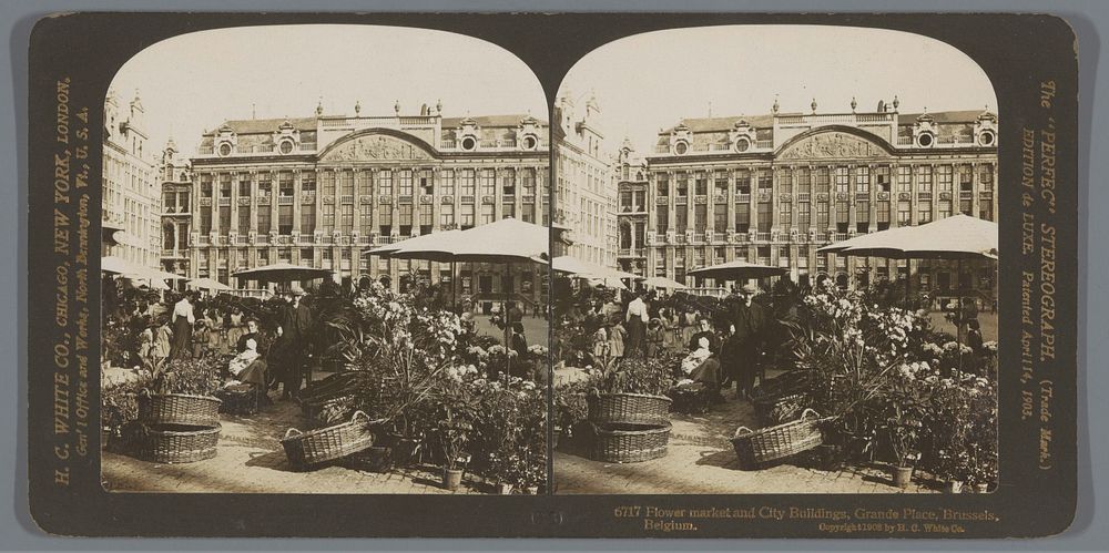 Gezicht op een bloemenmarkt en het Huis van de Hertogen van Brabant in Brussel (1908) by anonymous and H C White Co