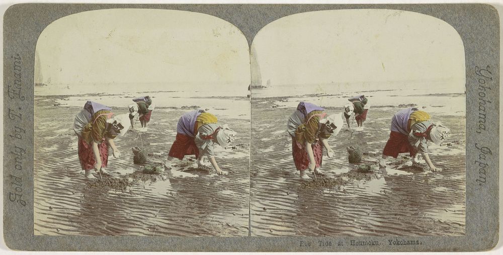 Vrouwen zoeken naar kokkels op het strand van Honmoku, Japan (1900 - 1907) by T Enami and T Enami