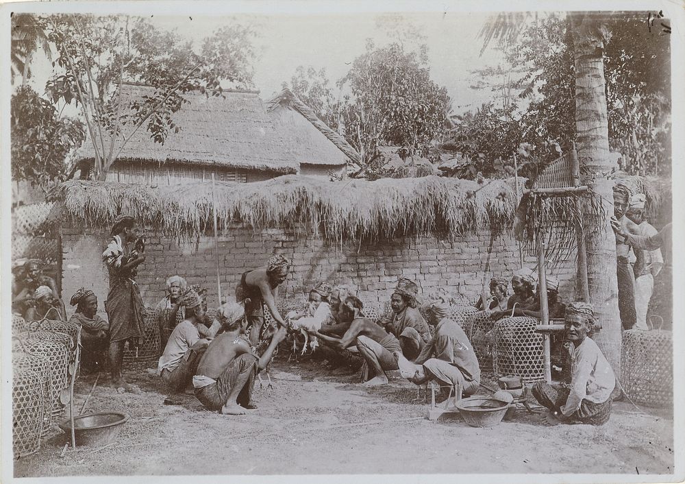Hanengevecht op Bali (c. 1922) by anonymous