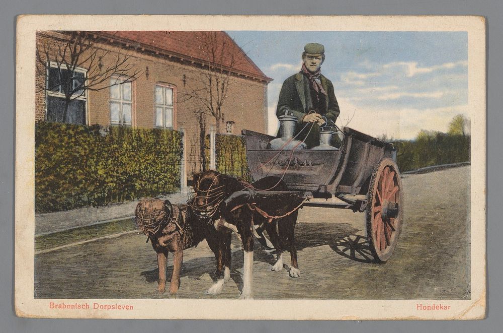 Brabantsch Dorpsleven - Hondekar (1918) by J H Schaefer s Fotocouleur