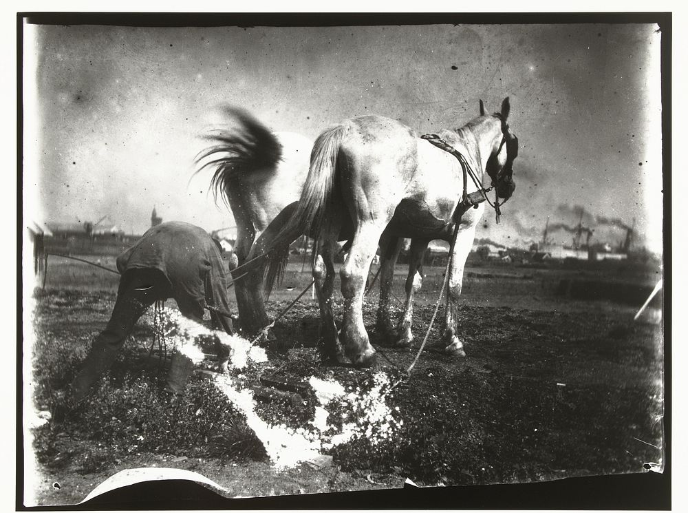 Het ploegen van een veld door paarden (c. 1890 - c. 1910) by George Hendrik Breitner and Harm Botman
