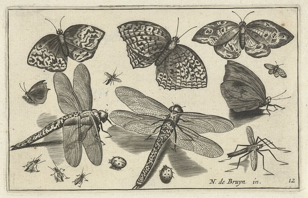 Vlinders en libellen (1594 - 1644) by anonymous, Nicolaes de Bruyn and Claes Jansz Visscher II