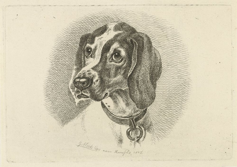 Hondenkop met een halsband met ring (1825) by Johannes Mock and Mansfeld