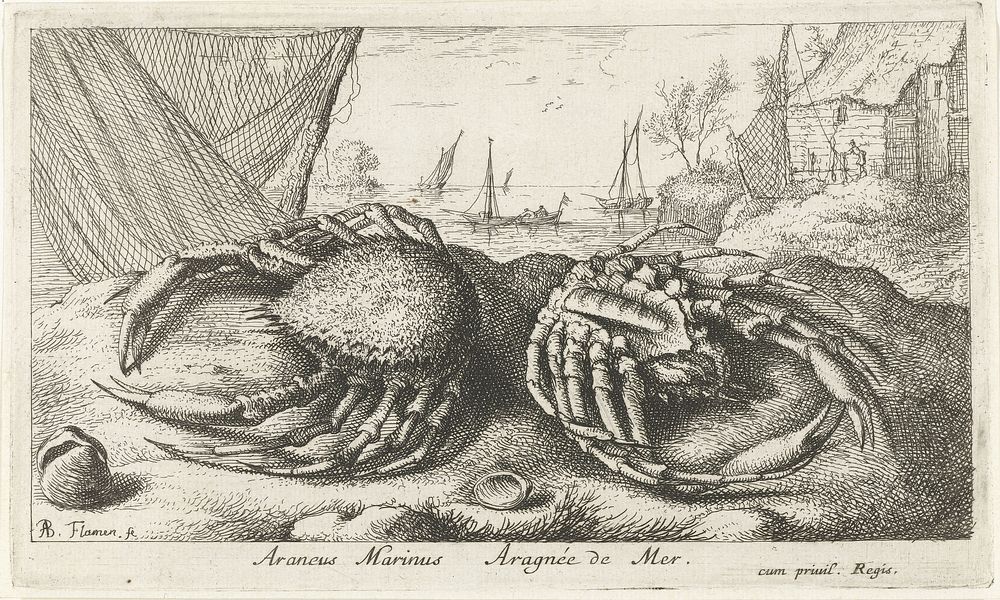 Twee spinkrabben bij een visnet (1664) by Albert Flamen, Albert Flamen, Jacques van Merlen and Lodewijk XIV koning van…