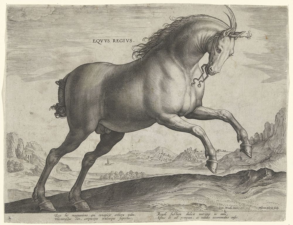 Paard van het ras Equus Regius (de Koninklijke) (c. 1583 - c. 1587) by Hieronymus Wierix, Jan van der Straet and Philips…
