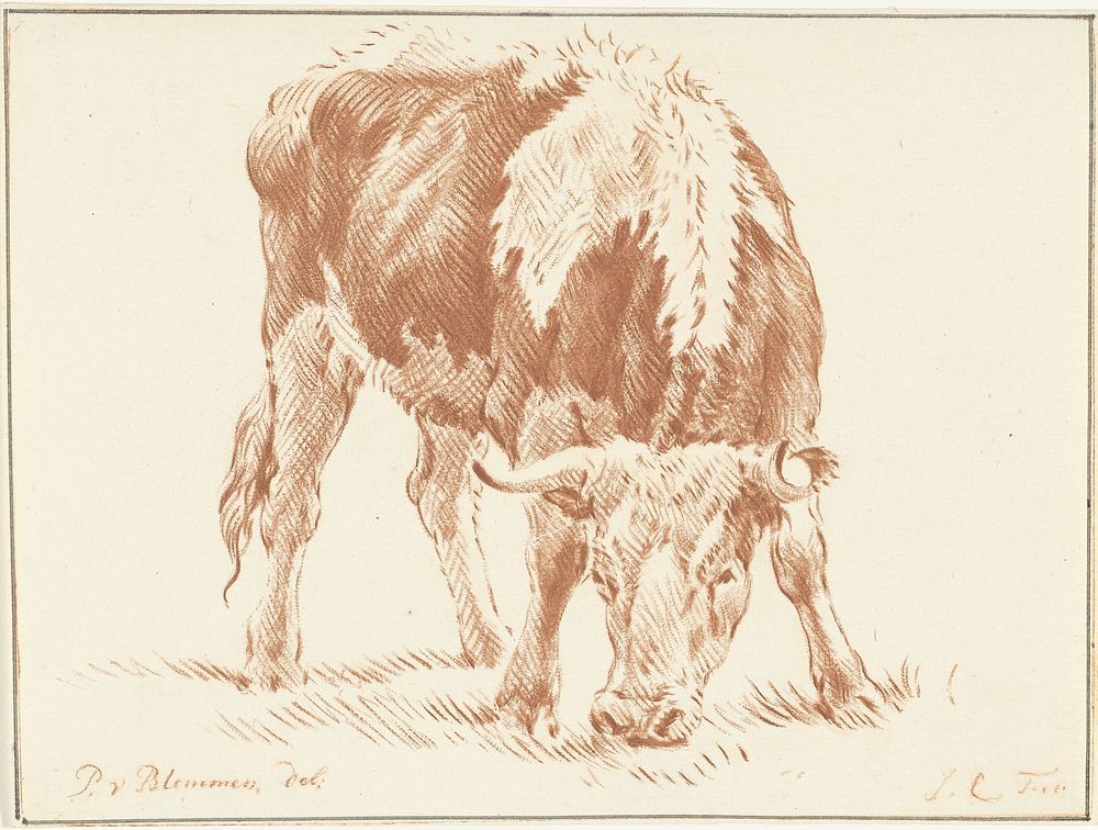 Grazende os (1724 - 1798) by Jurriaan Cootwijck and Pieter van Bloemen