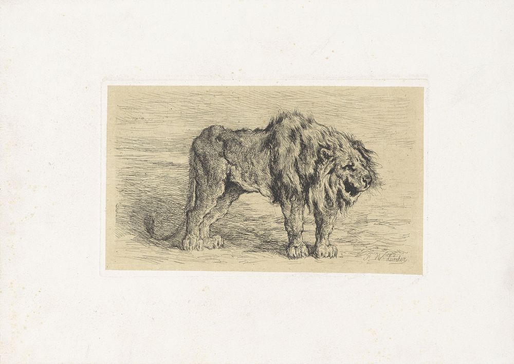 Staande leeuw naar rechts (1845 - 1894) by Frederik Willem Zürcher