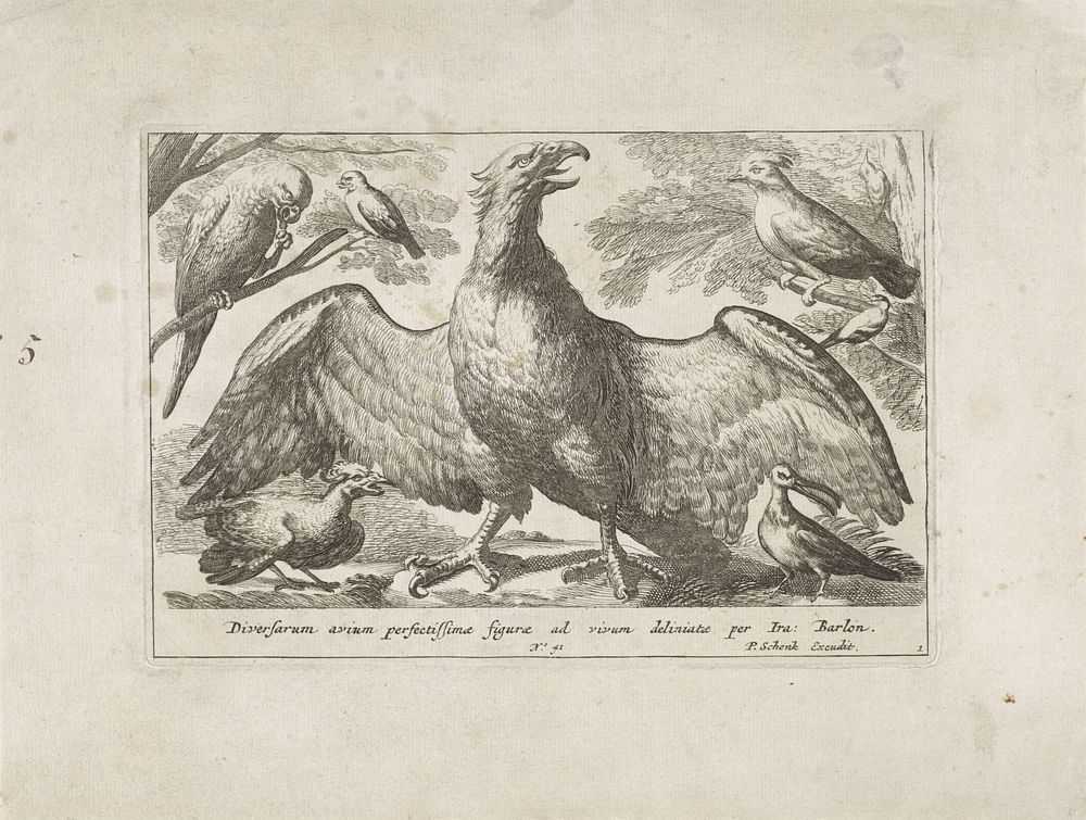 Arend en andere vogels (1675 - 1711) by Pieter Schenk I, Francis Barlow and Pieter Schenk I