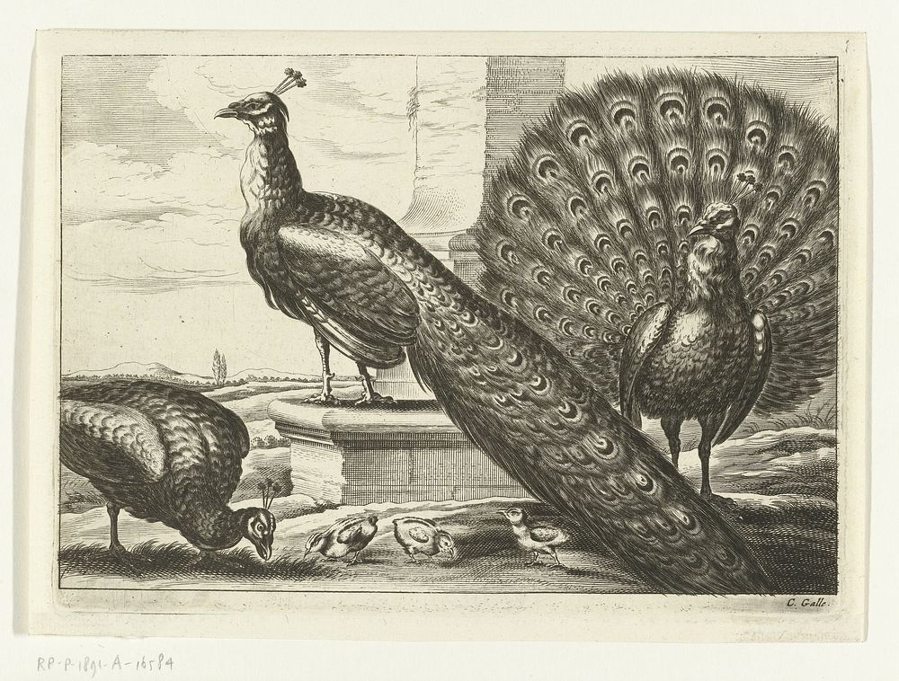 Pauwen (1654 - 1678) by Peter van Liesebetten, Wenceslaus Hollar, Francis Barlow and Cornelis Galle