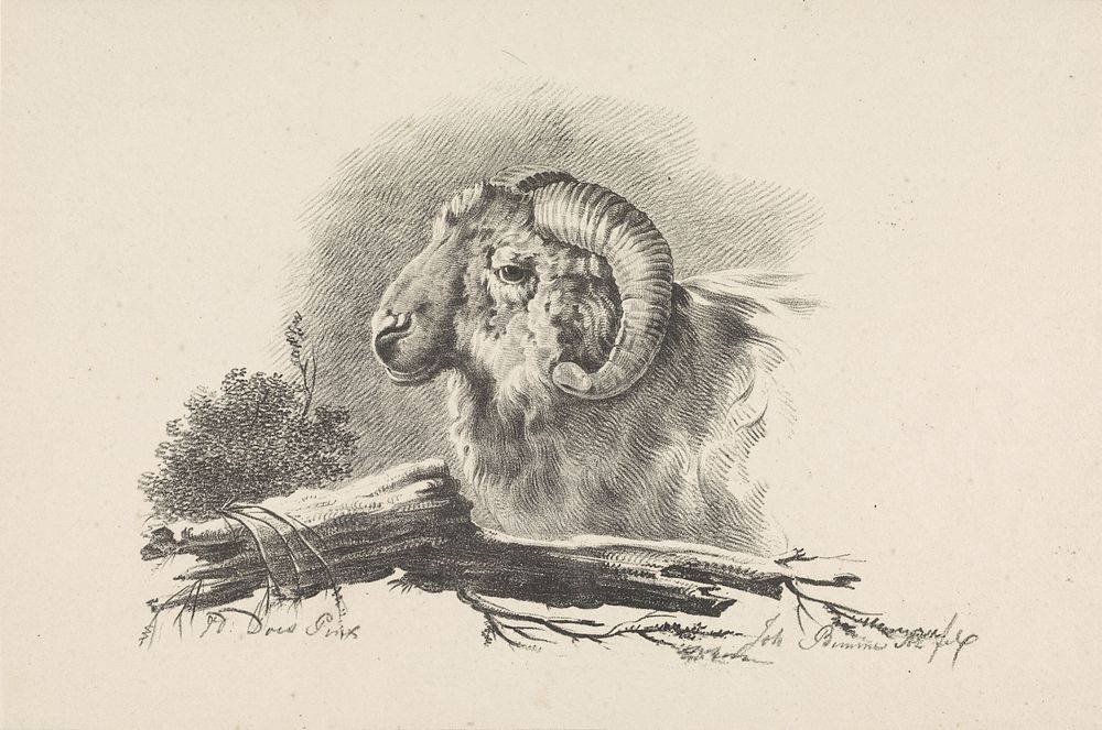 Ramskop en tak (1809 - 1841) by Joannes Bemme and Jacob van der Does I