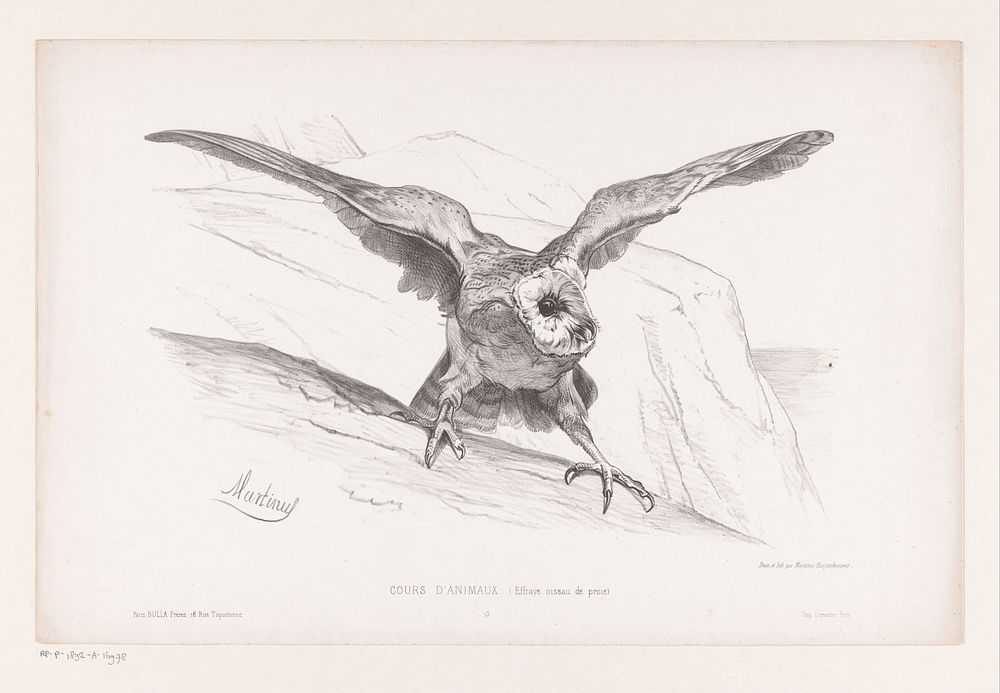 Opgeschrikte roofvogel (in or before 1860) by Martinus Antonius Kuytenbrouwer jr, Martinus Antonius Kuytenbrouwer jr, Joseph…
