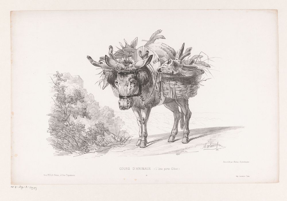 Pakezel met dode herten op zijn rug (in or before 1860) by Martinus Antonius Kuytenbrouwer jr, Martinus Antonius…