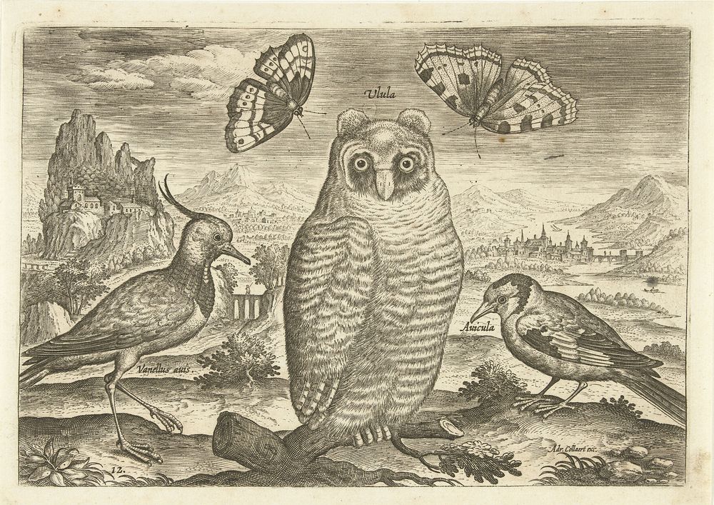 Vogels en vlinders in een landschap (1598 - 1602) by Adriaen Collaert, Adriaen Collaert and Adriaen Collaert