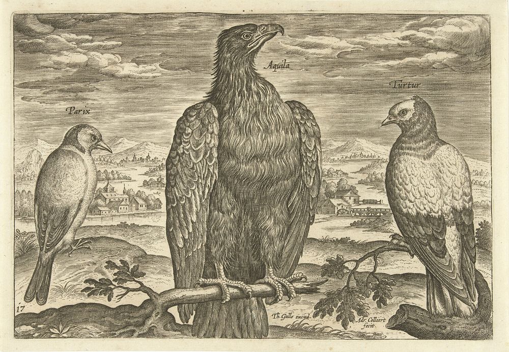 Drie vogels in een landschap (1598 - 1618) by Adriaen Collaert, Adriaen Collaert and Theodoor Galle