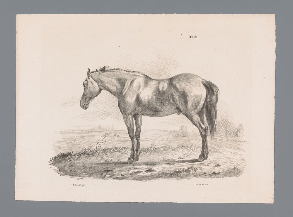 Paard in een weiland (1835) by Pieter Frederik van Os, Pieter Frederik van Os, L Samijn and Gebroeders Buffa and Co
