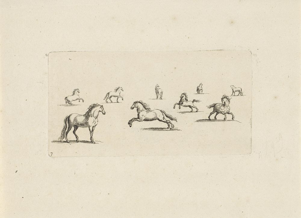 Studieblad met staande en rennende paarden (1675 - 1711) by anonymous and Pieter Schenk I