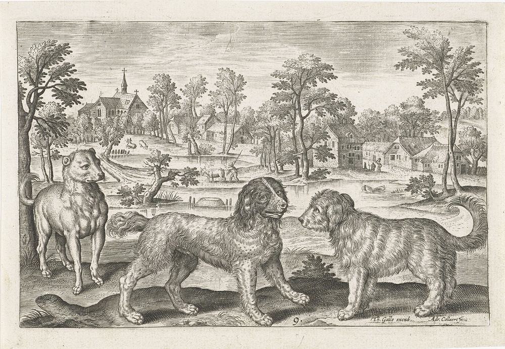 Honden (1595 - 1633) by Adriaen Collaert, Adriaen Collaert and Theodoor Galle