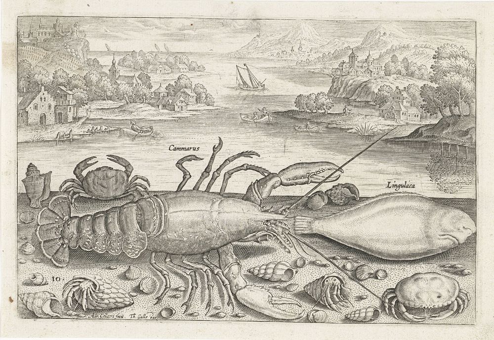Een vis en enkele schaaldieren op het strand (1627 - 1636) by Adriaen Collaert, Adriaen Collaert and Theodoor Galle
