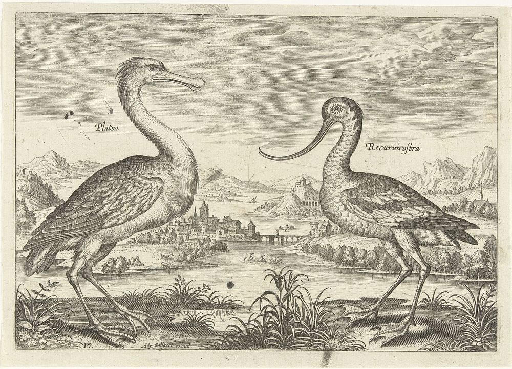 Twee waadvogels in een rivierlandschap (1598 - 1602) by Adriaen Collaert, Adriaen Collaert and Adriaen Collaert