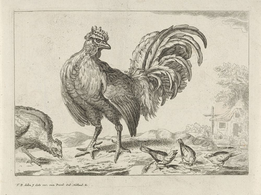 Haan met kuikens (1680 - 1723) by Jacob Gole, Jan Griffier I, Francis Barlow, Jacob Gole and Provincie Holland
