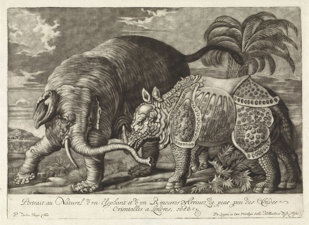 Olifant en neushoorn (1686 - 1696) by Pieter van den Berge and Jaques Le Moine de l Espine