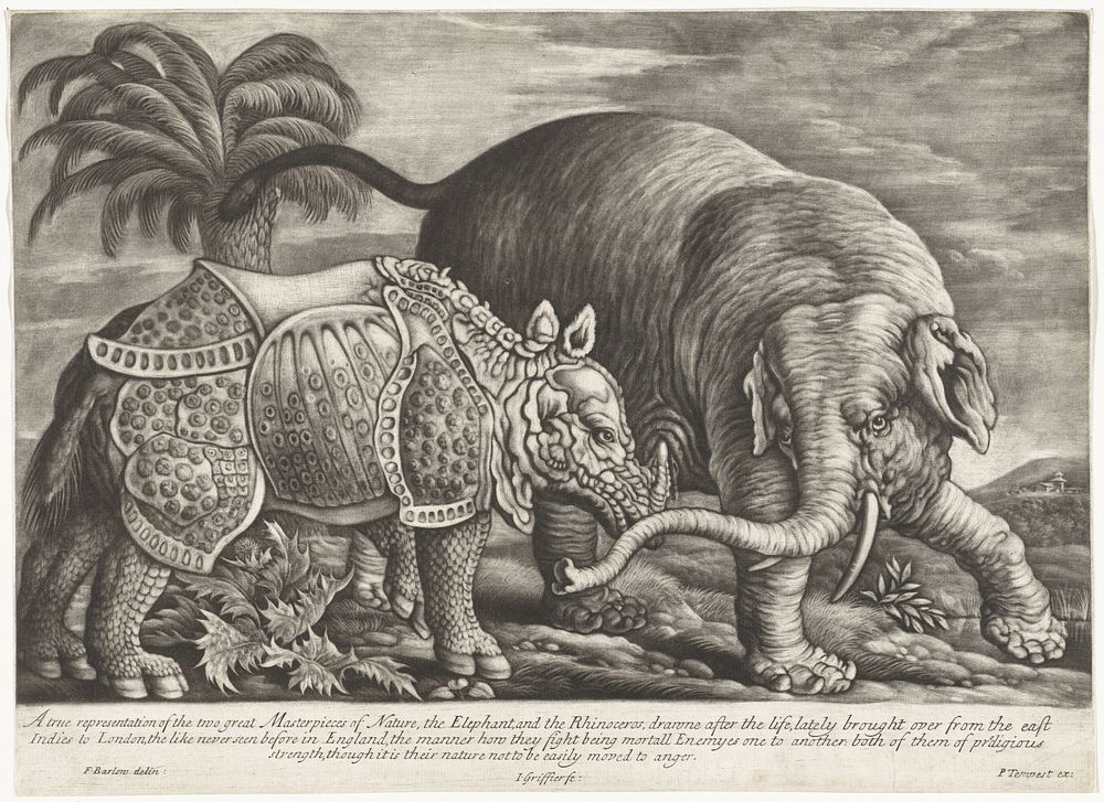 Olifant en neushoorn (1667 - 1717) by Jan Griffier I, Francis Barlow and Pierce Tempest