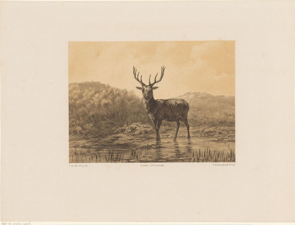 Hert in landschap (1838 - 1863) by Frederik Hendrik Weissenbruch, Simon van den Berg and Jan Dam Steuerwald